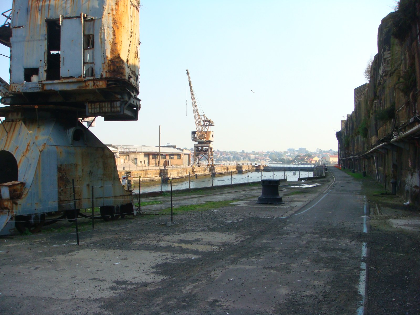 Reference photograph of cockatoo island.