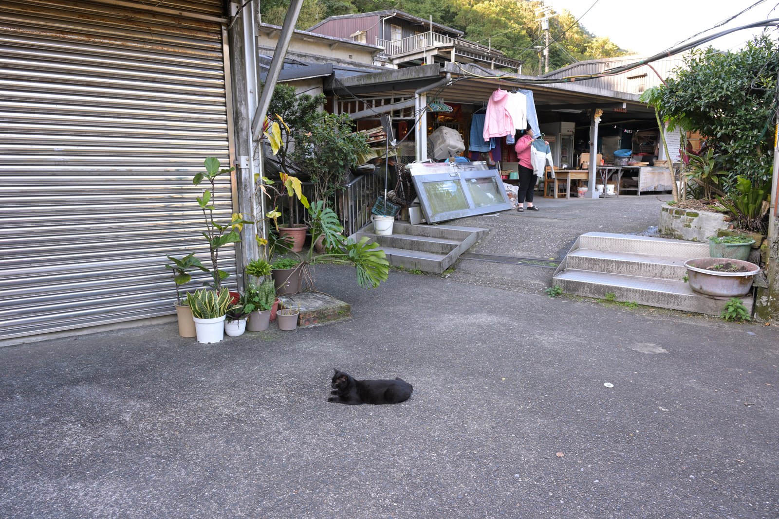 Reference photograph of houtong cat village.