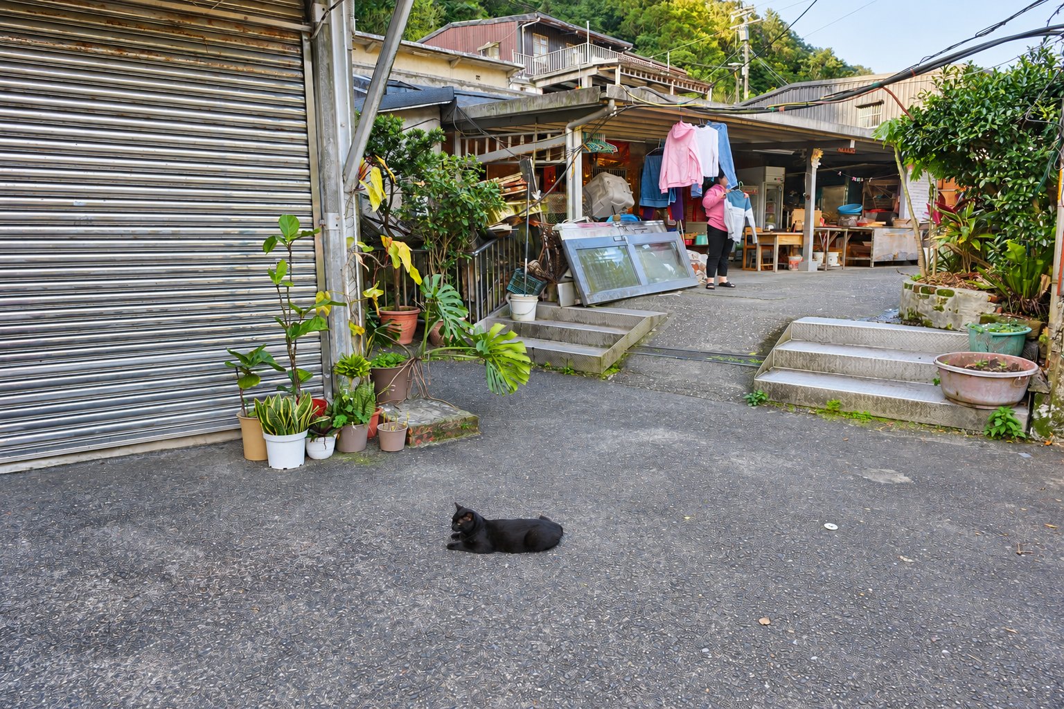AI editorial illustration of houtong cat village.